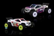 Losi_Micro_T_2S